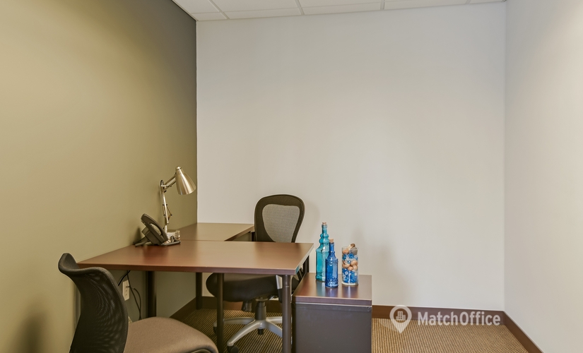 250 m² Co-working  in New York Midtown East, NY, 1129 Northern Blvd. (11030) - 4 | MatchOffice.com