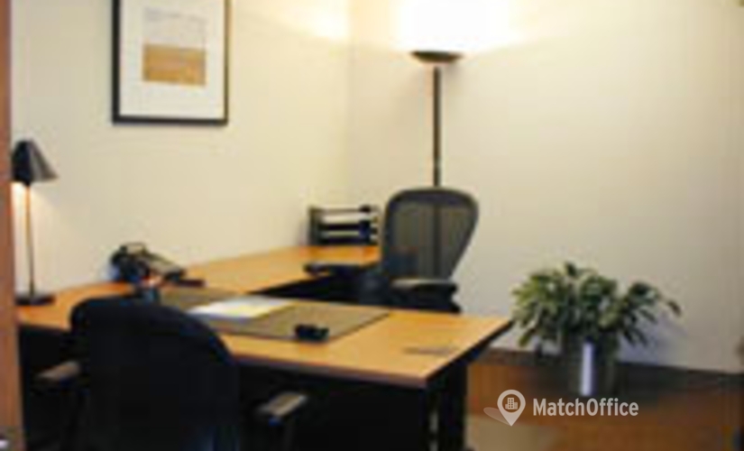 250 m² Coworking  in New York Grand Central, NY, 1230 Avenue of the Americas (10020) - 1 | MatchOffice
