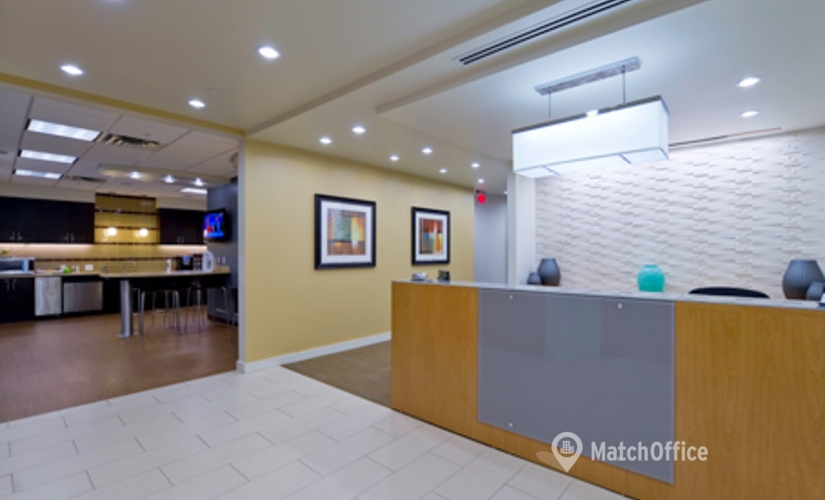 250 m² Shared workspace  in Chapel Hill, NC, 1340 Environ Way (27517) - 3 | MatchOffice