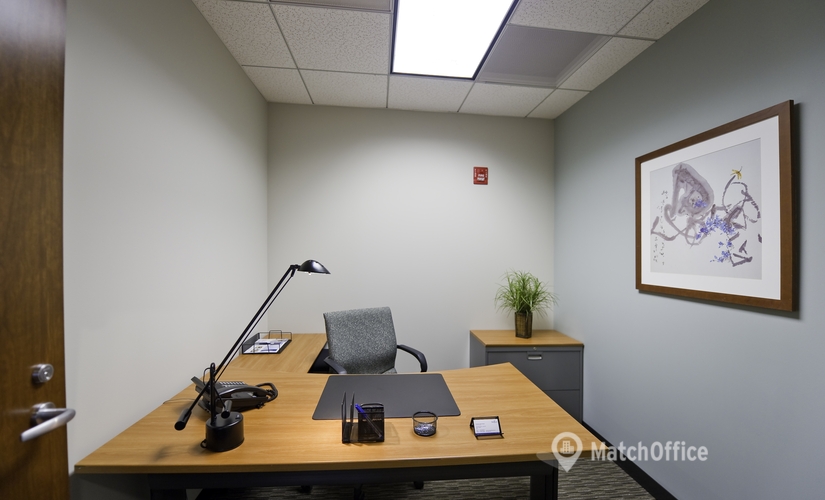 250 m² Shared workspace  in Oakbrook Terrace, IL, 18W140 Butterfield Road (60181) - 4 | MatchOffice