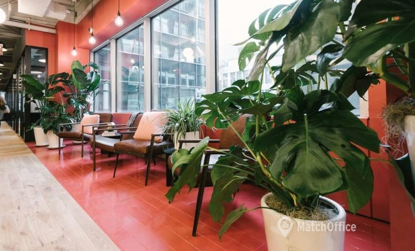 50 m² Co-working  in New York City, NY, 12 East 49th Street (10017) - 3 | MatchOffice.com