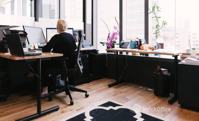 50 m² Coworking space in Tysons Corner, VA, 1775 Tysons Boulevard (22102) - 2 | MatchOffice.com