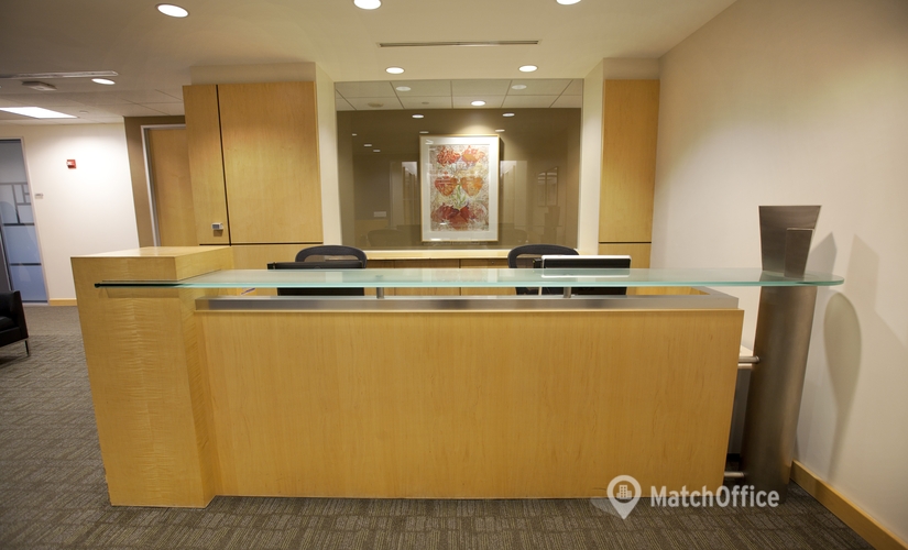 250 m² Co-working  in Miami, FL, 201 S Biscayne Blvd (33131) - 1 | MatchOffice.com