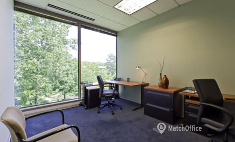 250 m² Shared office  in Duluth, GA, 2180 Satellite Blvd (30097) - 3 | MatchOffice