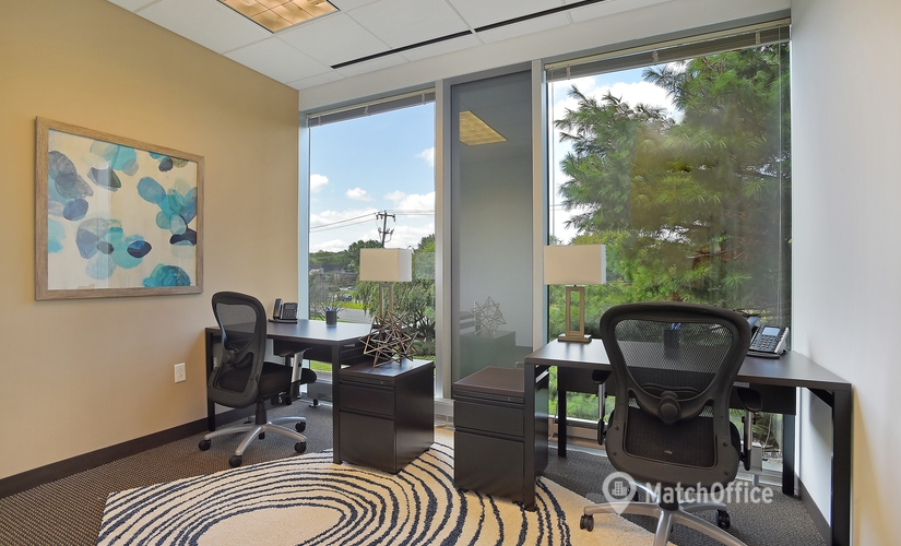 2691 m² Coworking space  in Philadelphia, PA, 225 Wilmington-West Chester Pike (19317) - 2 | MatchOffice.com