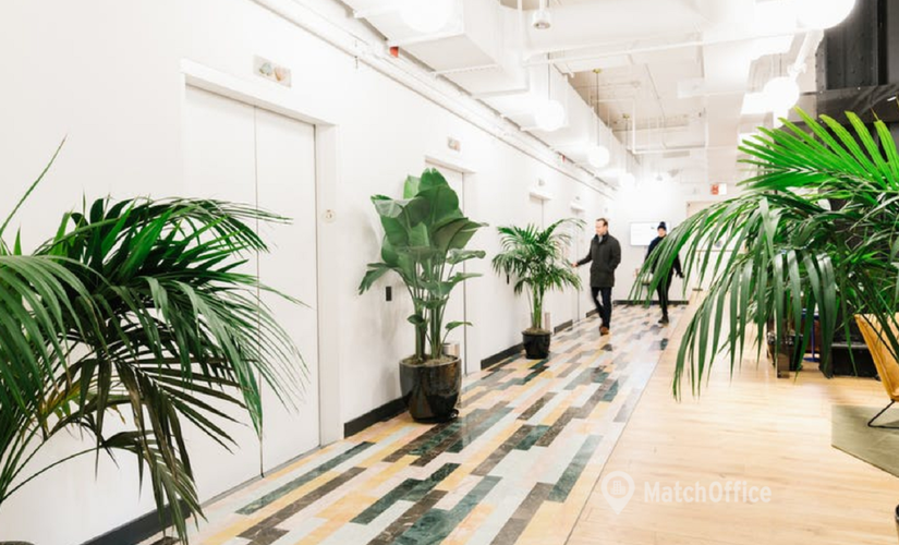 50 m² Shared workspace  in New York City, NY, Broadway 115 (10006) - 2 | MatchOffice