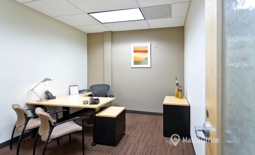 250 m² Shared office  in Henderson, NV, 2850 Horizon Ridge Parkway (89052) - 3 | MatchOffice.com
