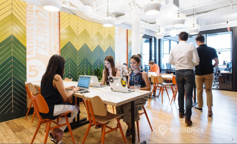 100 m² Co-working in Raleigh, NC, Glenwood Avenue 1 (27603) - 3 | MatchOffice