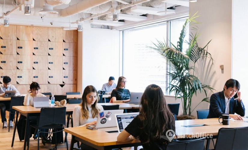 100 m² Shared office  in Seattle, WA, Northwest Market Street 1448 (98107) - 0 | MatchOffice