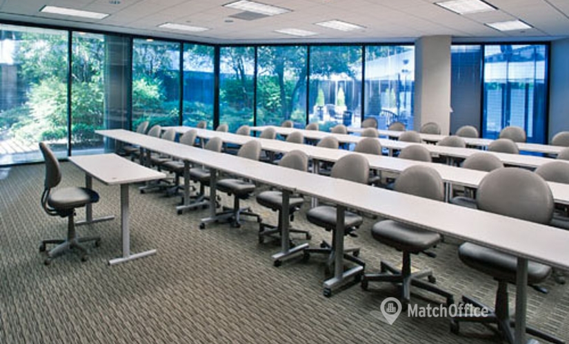 250 m² Co-working in Atlanta, GA, 303 Perimeter Center North (30346) - 3 | MatchOffice.com