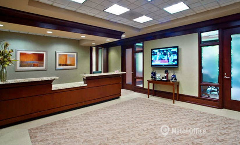 250 m² Coworking in Atlanta, GA, 303 Perimeter Center North (30346) - 1 | MatchOffice