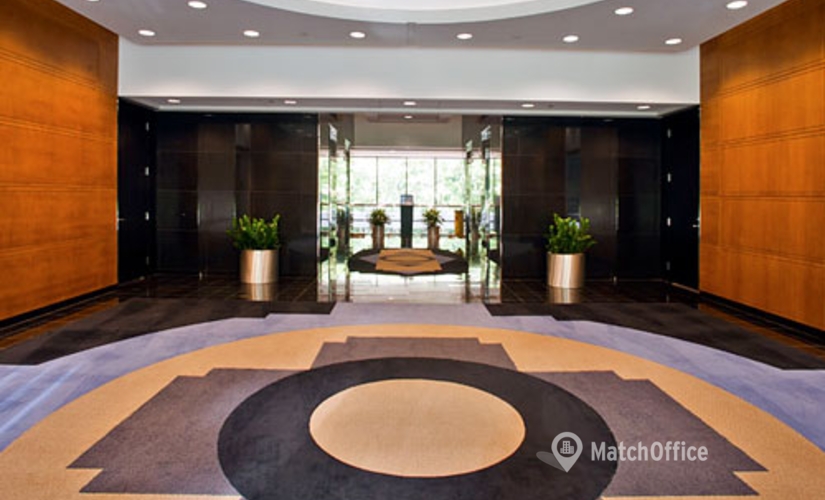 250 m² Co-working in Atlanta, GA, 303 Perimeter Center North (30346) - 4 | MatchOffice.com