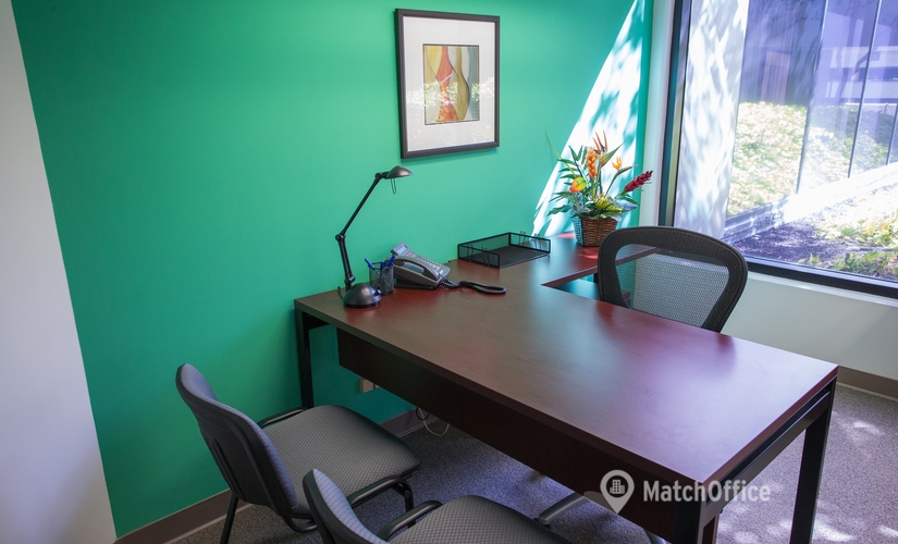 250 m² Coworking space in Honolulu, HI, Seven Waterfront Plaza (96813) - 4 | MatchOffice.com