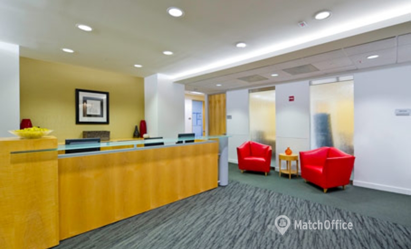 250 m² Coworking in Jersey City, NJ, Plaza V (07311) - 4 | MatchOffice.com