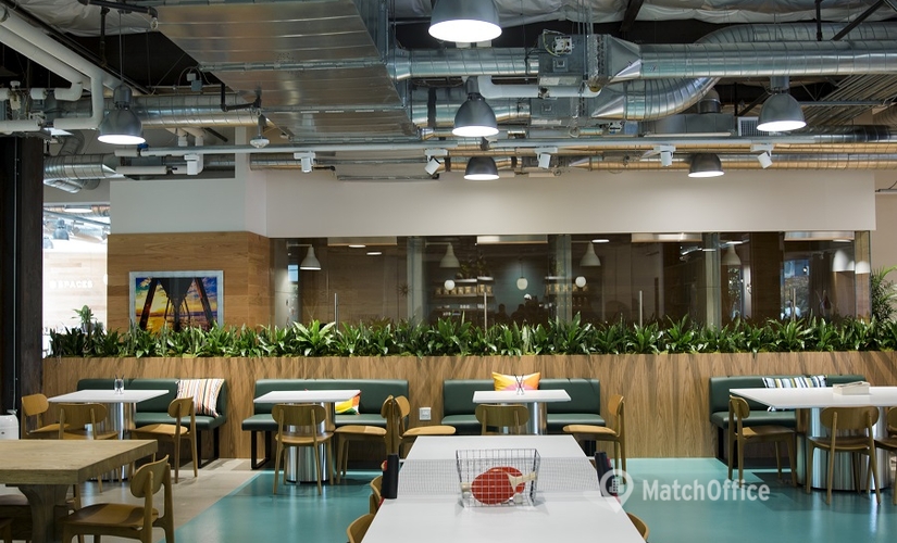 250 m² Coworking  in Colorado Springs, CO, Linden Street 242 (80524) - 3 | MatchOffice