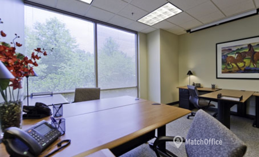 250 m² Shared office  in Atlanta, GA, Deerfield Parkway (12600) - 1 | MatchOffice