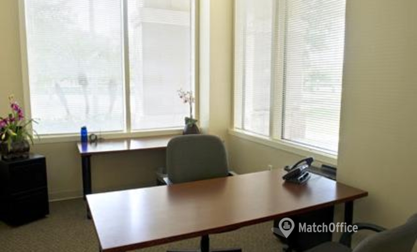 250 m² Co-working  in Plantation, FL, 950 South Pine Island Road (33324) - 1 | MatchOffice.com