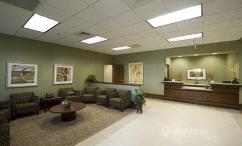 250 m² Shared office  in Plantation, FL, 950 South Pine Island Road (33324) - 4 | MatchOffice.com