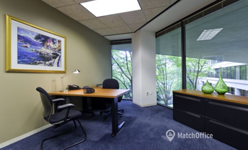 250 m² Coworking in Atlanta, GA, 3525 Piedmont Road (30305) - 4 | MatchOffice