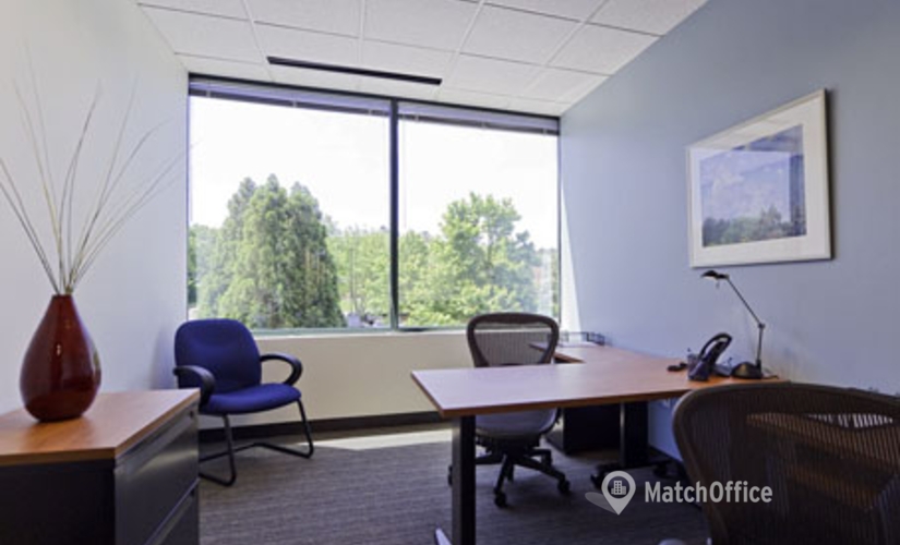 250 m² Coworking  in Atlanta, GA, 3700 Mansell Road (30022) - 4 | MatchOffice.com