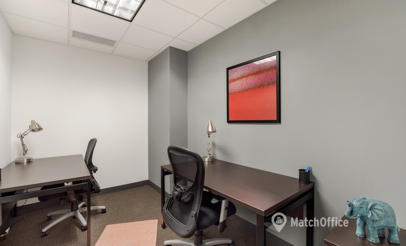 250 m² Shared office  in Detroit, MI, 41000 Woodward Avenue (41000) - 4 | MatchOffice.com