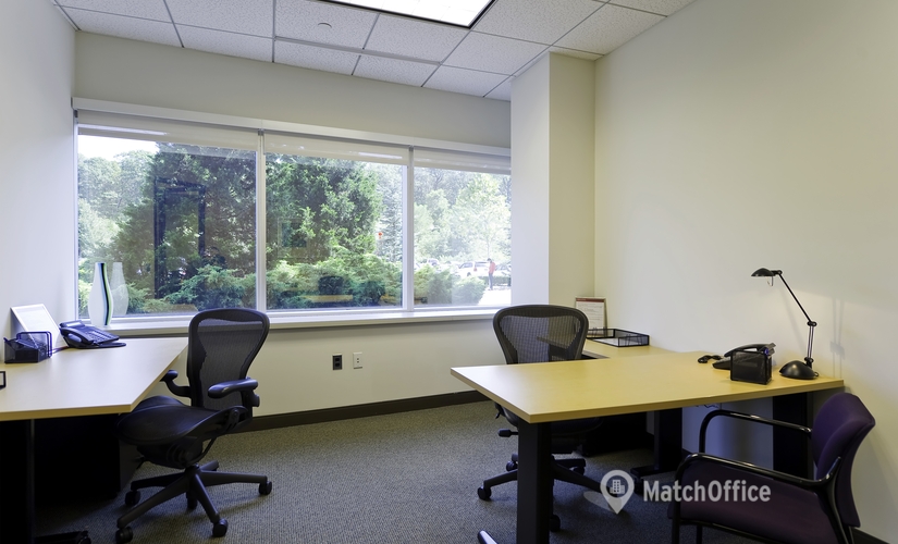 250 m² Shared workspace  in Melville, NY, 68 South Service Road (11747) - 4 | MatchOffice.com