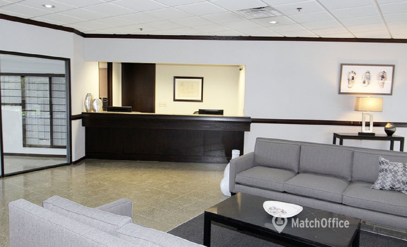 300 m² Co-working  in Detroit, MI, 7 West Square Lake Road Bloomfield Hills (48302) - 3 | MatchOffice