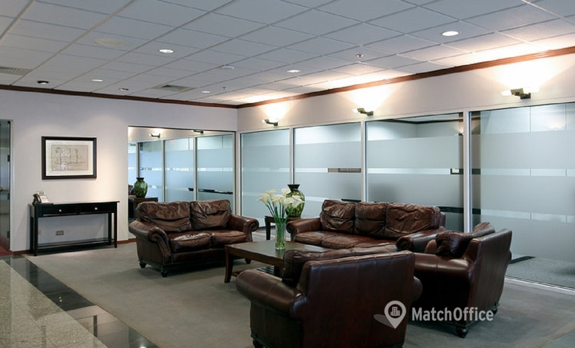 50 m² Shared workspace  in Schaumburg, IL, 1320 Tower Road Schaumburg (60173) - 4 | MatchOffice