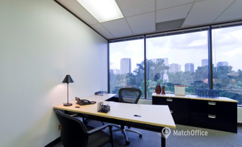 250 m² Coworking in Houston Central, TX, 4801 Woodway Drive (77056) - 3 | MatchOffice