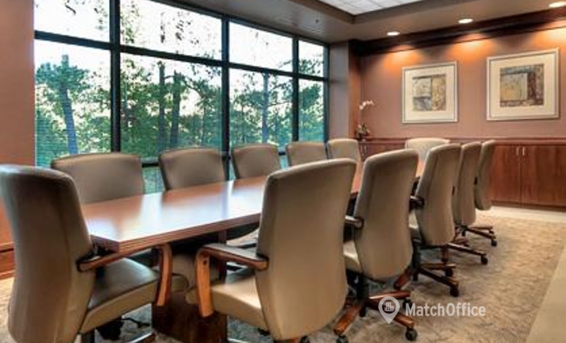 250 m² Coworking  in Richmond, VA, 4870 Sadler Road (23060) - 4 | MatchOffice