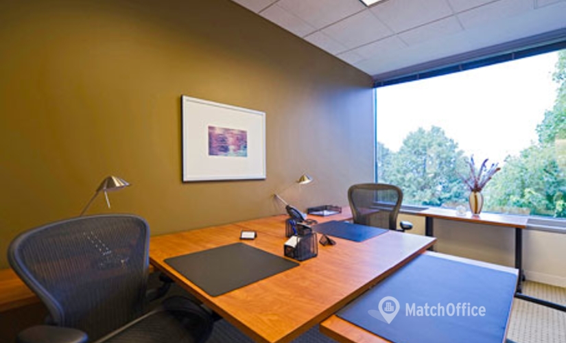 250 m² Coworking space  in Deerfield, IL, 500 Lake Cook Road (60015) - 4 | MatchOffice