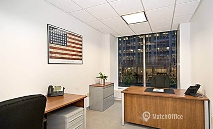 200 m² Shared office  in New York Midtown West, NY, The Plaza District - 1350 Avenue of the Americas (55th Street) - 2nd (10019) - 2 | MatchOffice