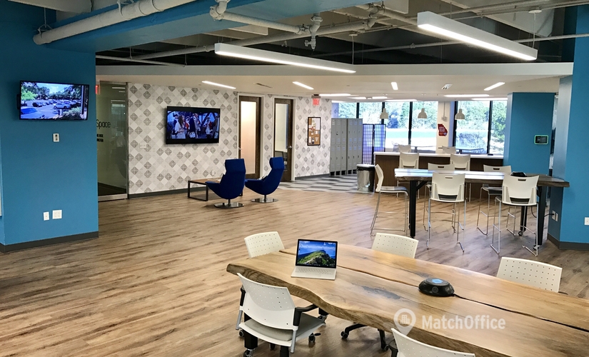15000 m² Shared office in Atlanta Perimeter - North Central, GA, 4470 Chamblee Dunwoody Road (30338) - 2 | MatchOffice.com