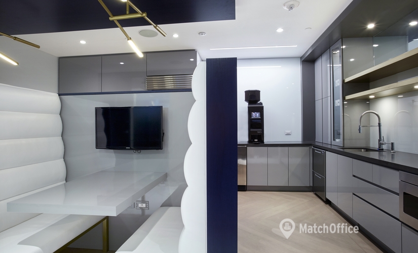 50 m² Business space in New York Grand Central, NY, 1185 Avenue of the Americas (10036) - 4 | MatchOffice.com