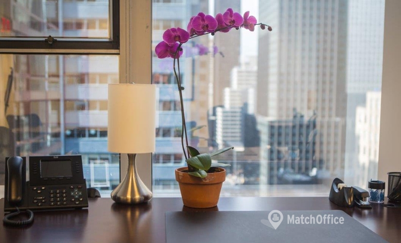 50 m² Conference center in New York City, NY, 3rd Avenue 733 (10017) - 1 | MatchOffice.com