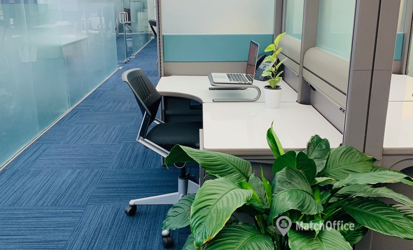 538 m² Office space available to rent in Miami Beach, FL, 1680 Michigan Avenue, 33139  - 4 | MatchOffice