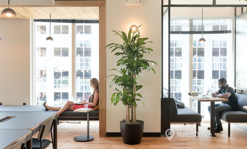 500 m² Serviced office building available to rent in Atlanta, GA, 3280 Peachtree Road NE (30305) - 1 | MatchOffice