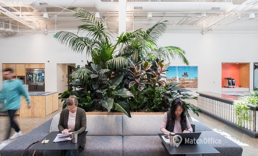 500 m² Business space building available to rent in Atlanta, GA, 1019 E 4th Place  (90013) - 1 | MatchOffice