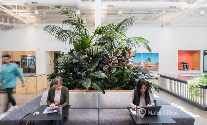 500 m² Coworking space  in Atlanta, GA, 1019 E 4th Place  (90013) - 0 | MatchOffice.com