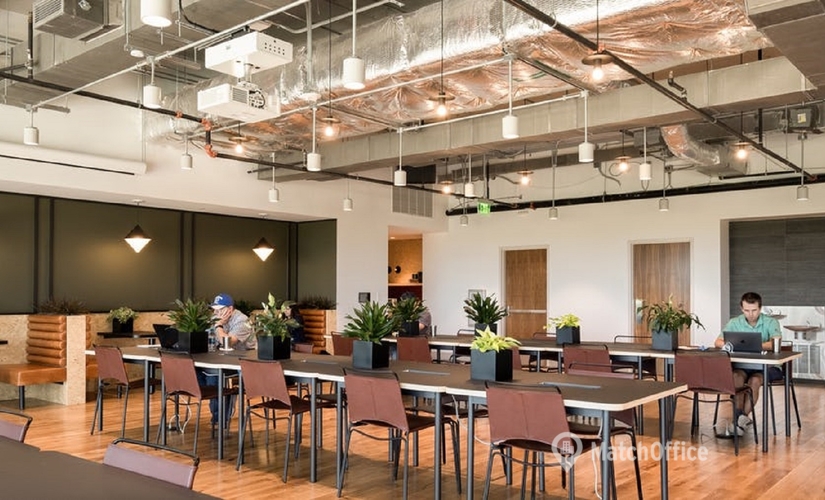150 m² Business park property for rent in Tampa, FL, 1701 Rhode Island Avenue Northwes (20036) - 3 | MatchOffice