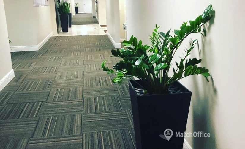 1200 m² Business office up for rent in Fort Lauderdale, FL, 1975 E Sunrise Blvd., 33304  - 1 | MatchOffice
