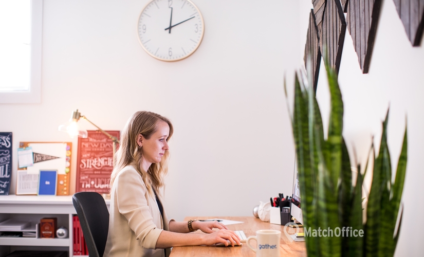 300 m² Coworking  in Richmond, VA, 2920 West Broad Street (23230) - 1 | MatchOffice