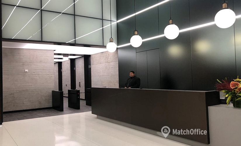 300 m² Serviced office building up for rent in New York Grand Central, NY, 1180 Avenue of the Americas (10036) - 5 | MatchOffice