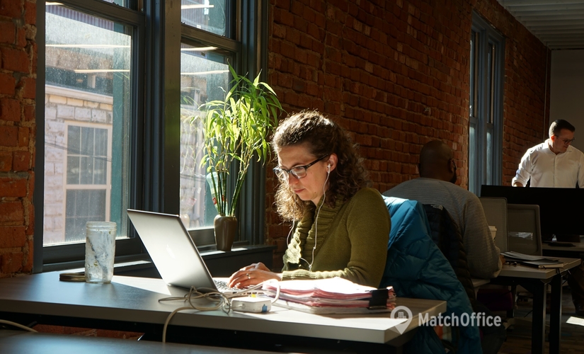 836 m² Coworking  in Ypsilanti, MI, 13 N Washington Street (48197) - 3 | MatchOffice