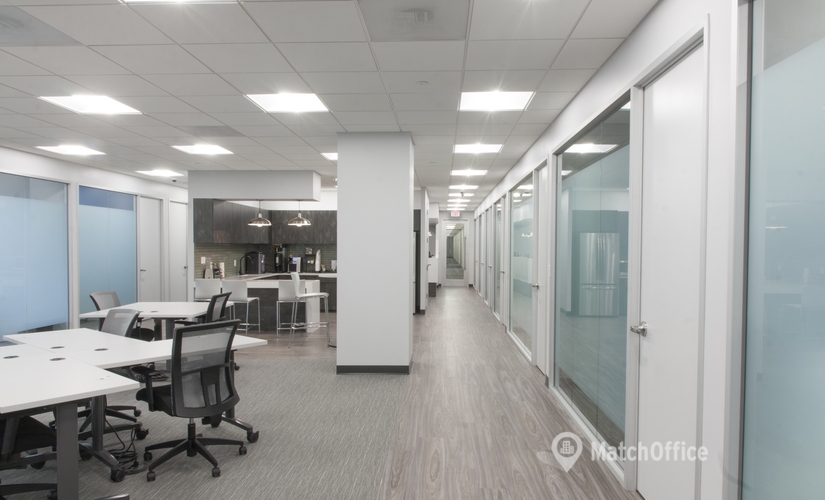 50 m² Shared office  in Alexandria, VA, 2800 Einsenhower Avenue (22314) - 10 | MatchOffice