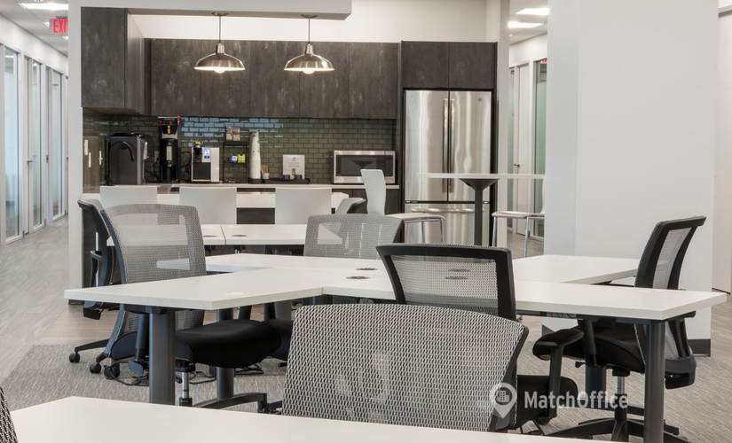50 m² Shared office  in Alexandria, VA, 2800 Einsenhower Avenue (22314) - 9 | MatchOffice
