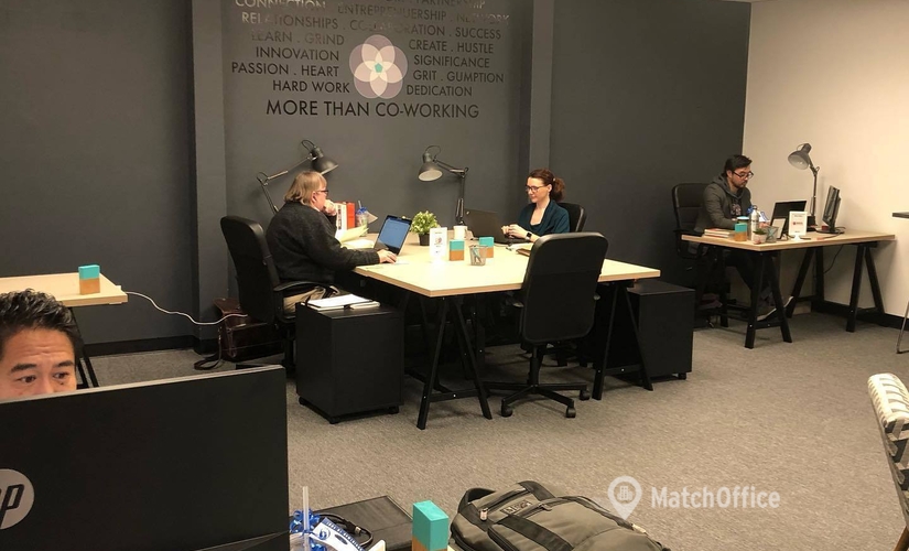 10 m² Business space building up for rent in Norfolk, VA, 7th Street 100 (23704) - 0 | MatchOffice