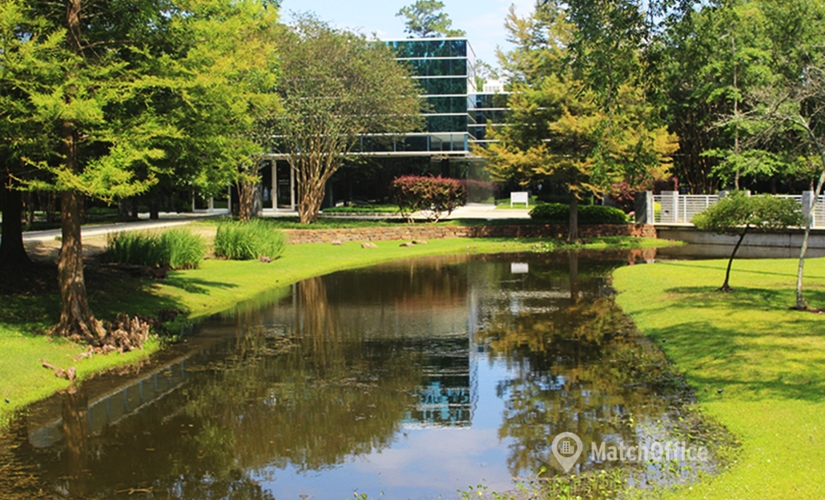 6612 m² Serviced office place up for rent in The Woodlands, TX, 2700 Research Forest Drive (77381) - 5 | MatchOffice.com
