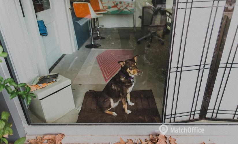 40 m² Shared workspace in San Diego, CA, 30th Street 3919 (92104) - 4 | MatchOffice