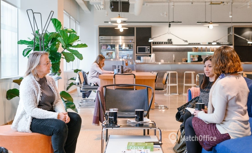 1076 m² Coworking in Chicago, IL, North State Street 515 (60654) - 1 | MatchOffice